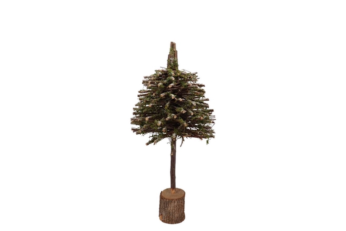 <h4>Festive Tree Poplar Moss 20x20x50cm</h4>