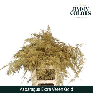 Aspa Extra Veren Gold