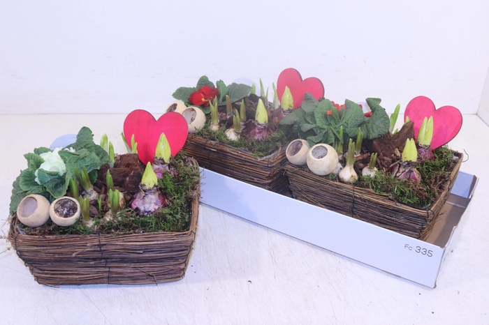 <h4>ARR TUINPLANTEN</h4>