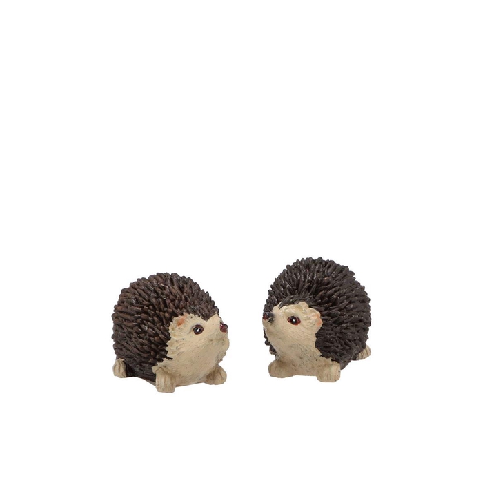 <h4>Hedgehog Poly Small Ass P/1 6x4x4cm Nm</h4>
