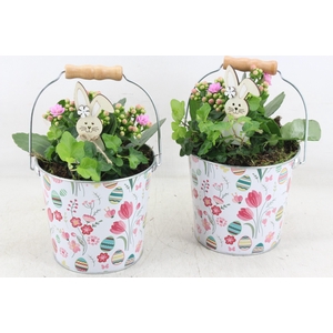 arr2 JS - Zink emmer x6