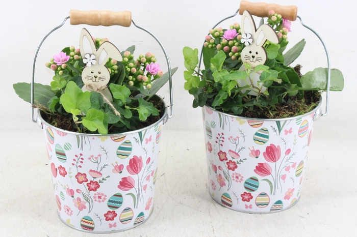 <h4>arr2 JS - Zink emmer x6</h4>