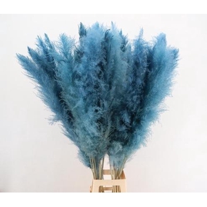 DF Pampas 130cm L.Blue