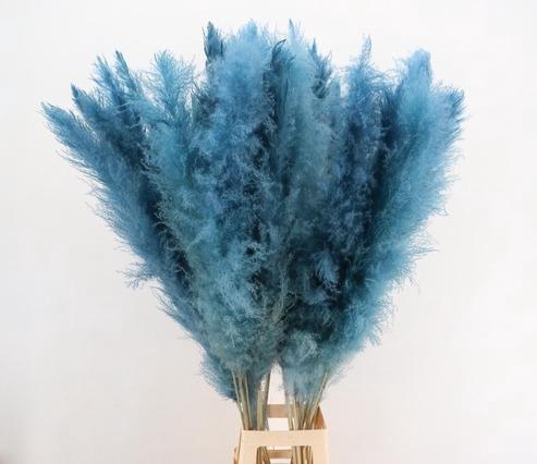 <h4>DF Pampas 130cm L.Blue</h4>