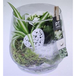 4949 WIT DRUPPELGLAS LOVE