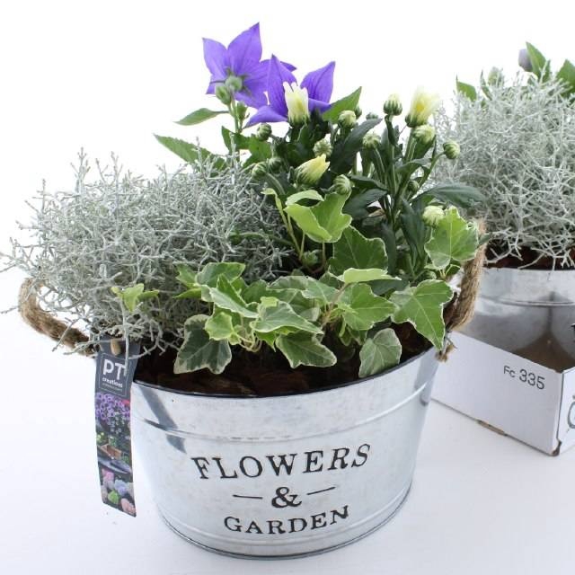 ARR TUINPLANTEN