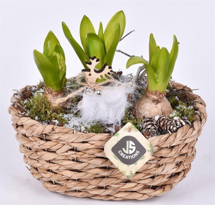 <h4>Maisblad gevl. ovaal 24x15cm</h4>