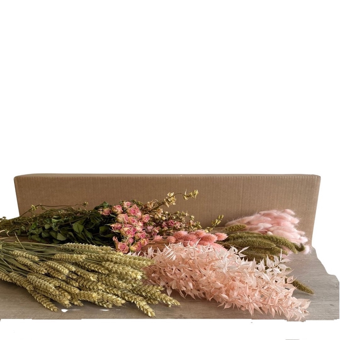 <h4>Droogbloem DIY box assorti 65-75cm</h4>