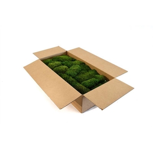 Hair Moss Gepreserveerd Bulk Ca. 1m2