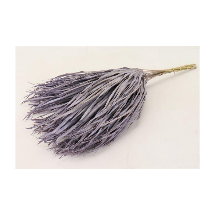 <h4>Bunch Chamaerops 10 Pcs Slv L70</h4>