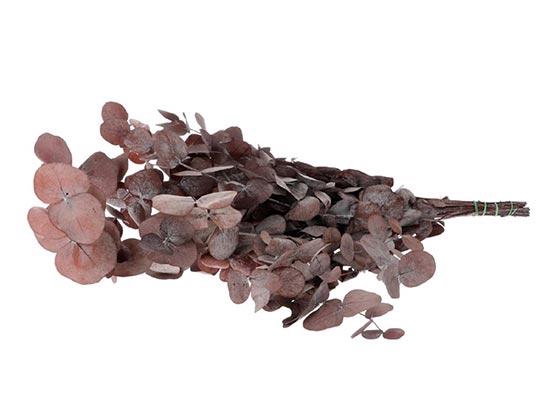 Bunch Euca Cinerea Pres. 150g L65