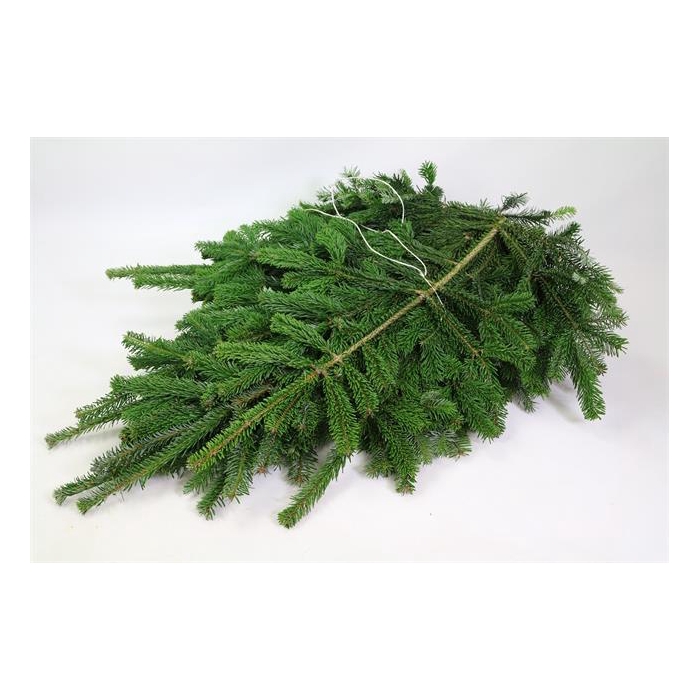 <h4>NORDMAN 5KG</h4>