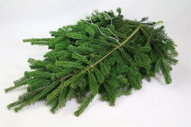 <h4>NORDMANN 5KG</h4>