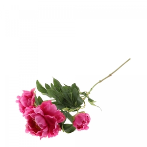 Artificial flowers Paeonia 67cm