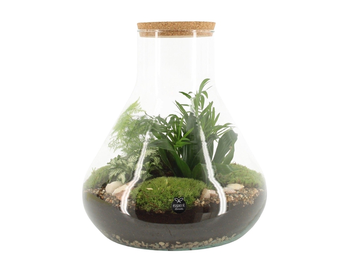<h4>90077: Terrarium arrangement</h4>