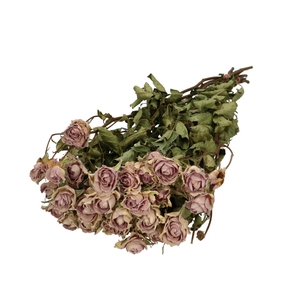 Dried flowers Rose spray 50cm x10