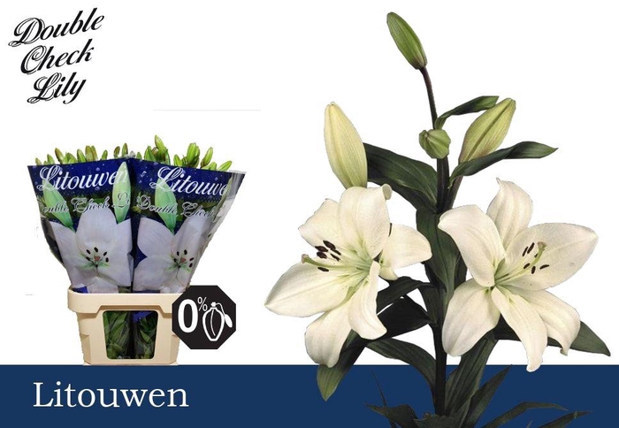 <h4>LI LA LITOUWEN 3+</h4>