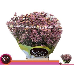 Lim Sin Blush Diamond