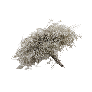 Koraalvaren Klb Platinum X5