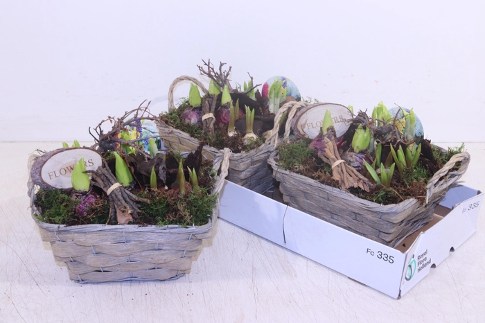 <h4>ARR BOL KNOLGEWAS</h4>