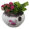 Arrangementen kamerplanten keramiek PTIB5204