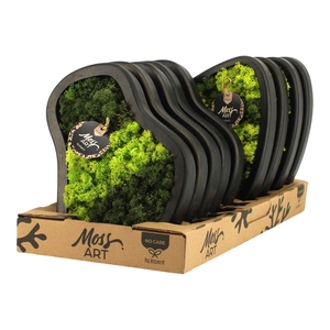 90934: Moss Art Mix Organic D30 & Triangle D33