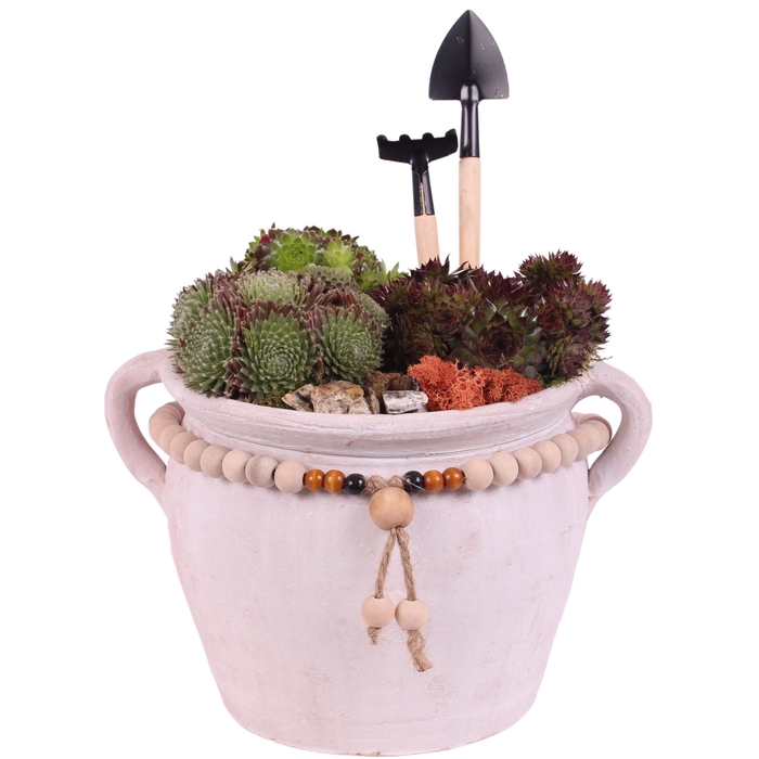 <h4>Opm Semp Arr. Outdoor Ceramic Pot Jug Beads</h4>