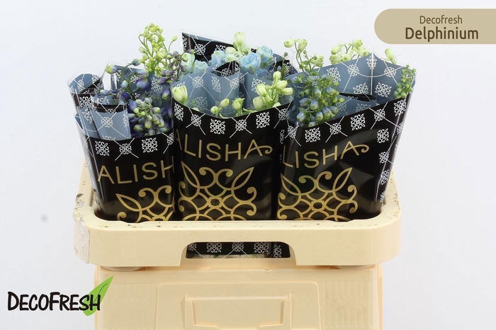 <h4>DELPH EL GEMENGD</h4>