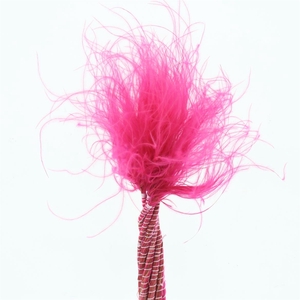 Dried Stypa Penata Cerise Fluffy