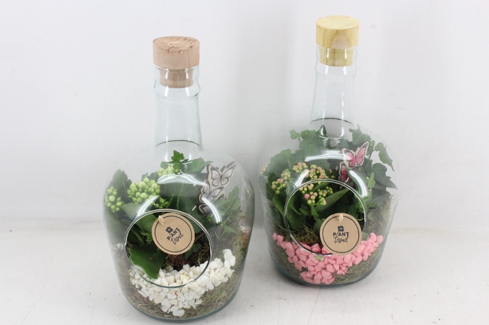 arr2 PL - Glas fles met dop 999/6 - roze/wit