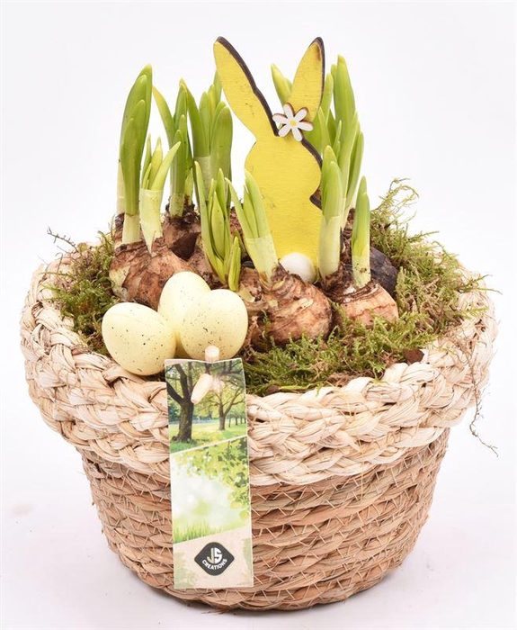 <h4>Jute mand met rand 18cm</h4>