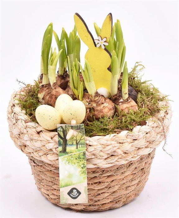 <h4>Jute mand met rand 18cm</h4>