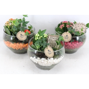 arr2 PL - Glas schaal frank mix