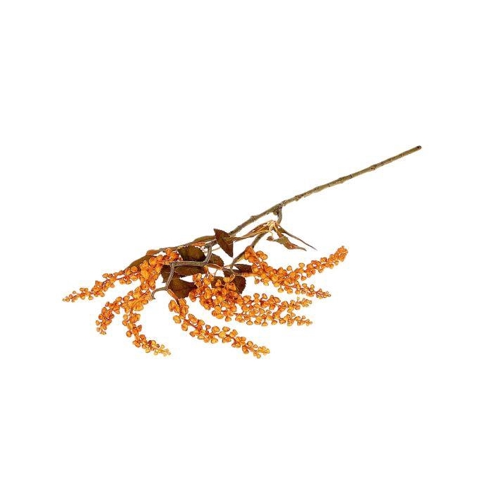 <h4>Branch Berry Jungle L72</h4>