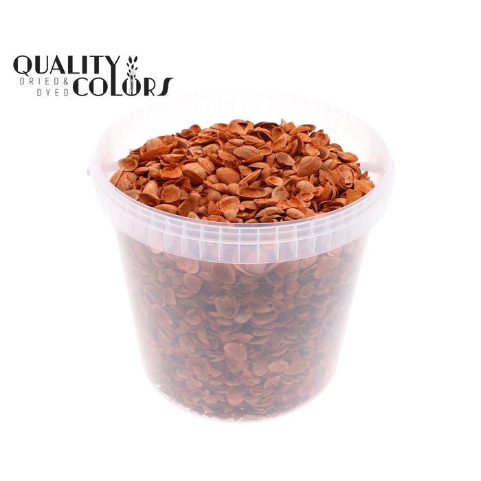 <h4>Shells north sea 10 ltr Orange</h4>