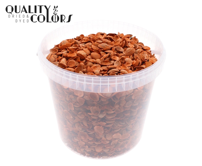 Shells north sea 10 ltr Orange