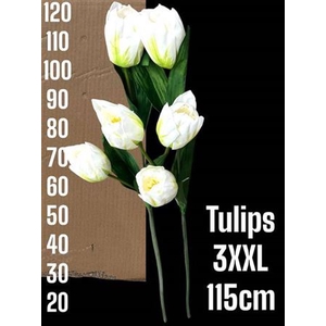 Kunst Tulpen White Extra Lang !!!