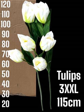 <h4>Kunst Tulpen White Extra Lang !!!</h4>