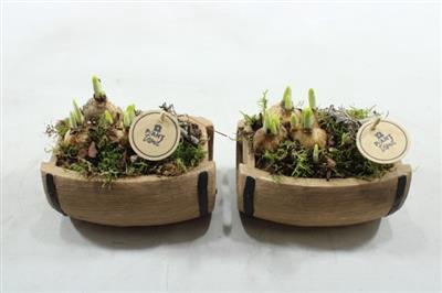 <h4>3985 Bierton Bm</h4>