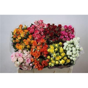 R Tr Gemengd In Fust