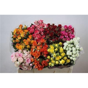 R Tr Gemengd In Fust