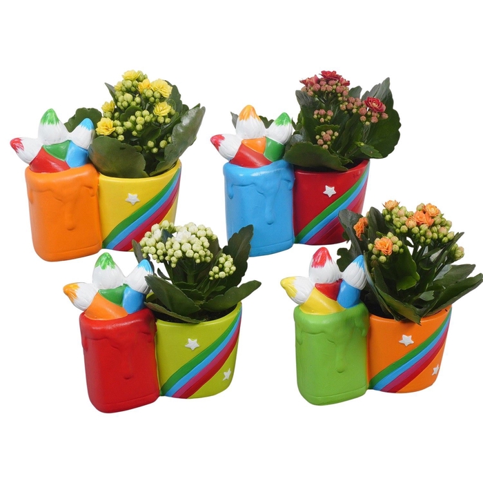 <h4>Arr.   Planten L%</h4>