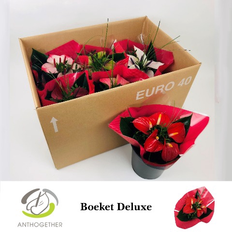 Deluxe Boeket 5 bloem Rode Hoes 6