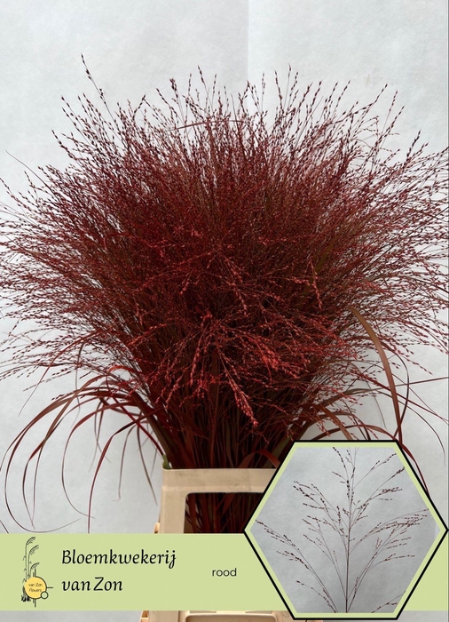 <h4>Siergr Ov Klb H%</h4>