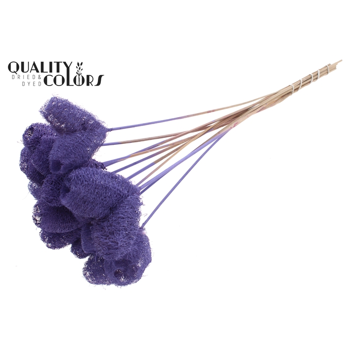 <h4>Luffa Heart on stem Milka</h4>