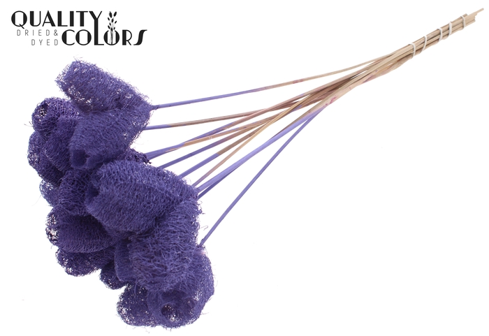 Luffa Heart on stem Milka