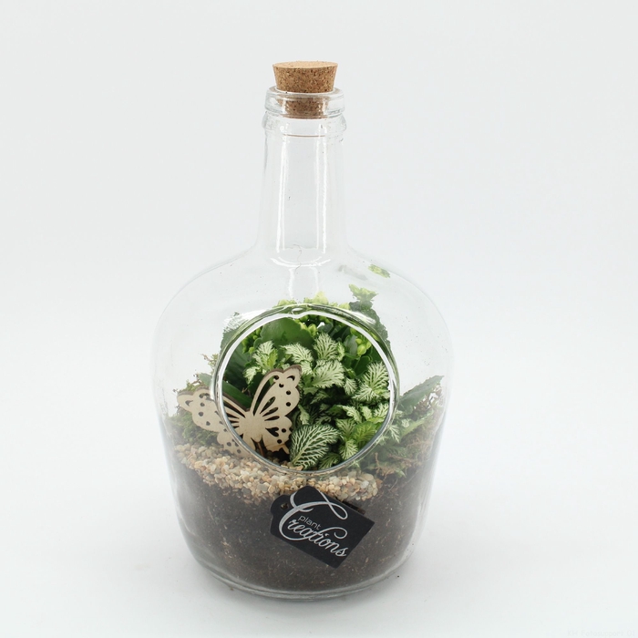<h4>Opm ESCR-2504W Essentials Terrarium</h4>