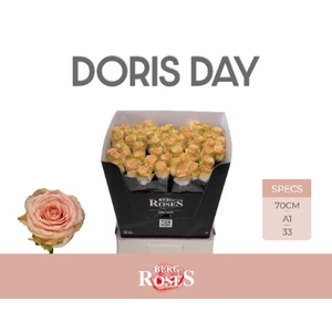 R GR DORIS DAY