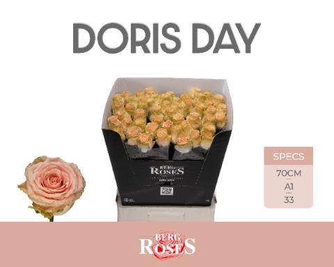 R GR DORIS DAY