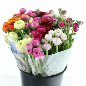 Ran El Mix Fust Super